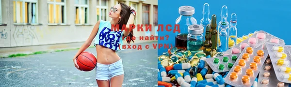 крисы Алзамай