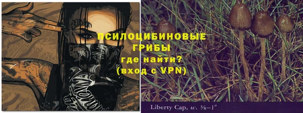 ешки Алексеевка