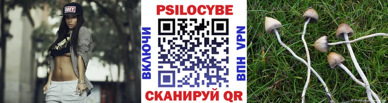 как найти закладки  Махачкала  Псилоцибиновые грибы MAGIC MUSHROOMS 
